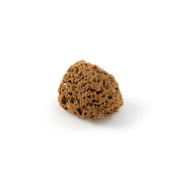 Natuurlijke spons GERBY Natuurlijke spons GERBY